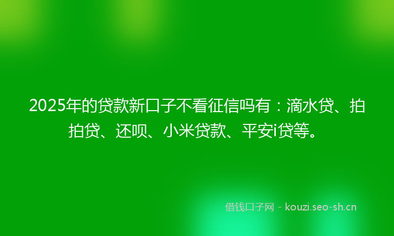 2025年的贷款新口子不看征信吗有：滴水贷、拍拍贷、还呗、小米贷款、平安i贷等。