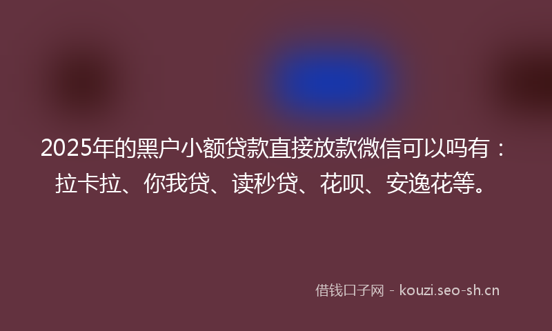 2025年的黑户小额贷款直接放款微信可以吗有：拉卡拉、你我贷、读秒贷、花呗、安逸花等。