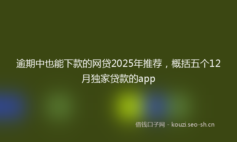 逾期中也能下款的网贷2025年推荐，概括五个12月独家贷款的app