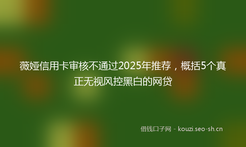 薇娅信用卡审核不通过2025年推荐，概括5个真正无视风控黑白的网贷