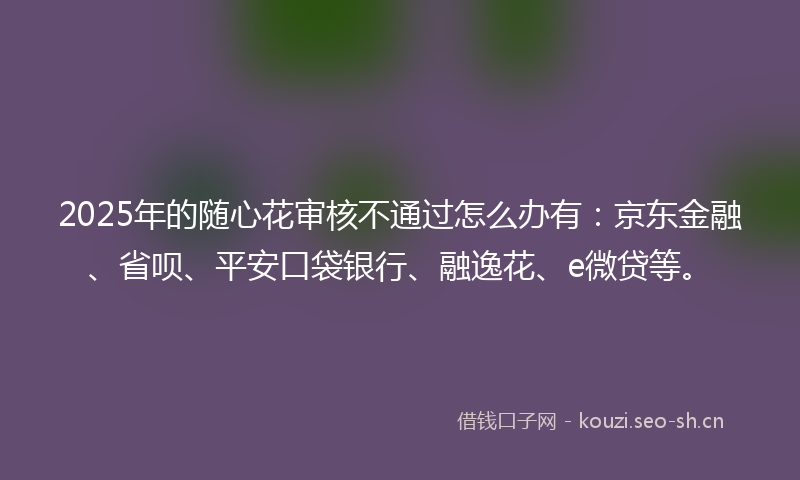 2025年的随心花审核不通过怎么办有：京东金融、省呗、平安口袋银行、融逸花、e微贷等。