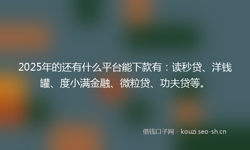 2025年的还有什么平台能下款有：读秒贷、洋钱罐、度小满金融、微粒贷、功夫贷等。