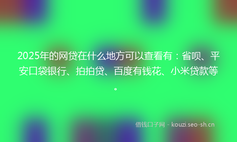 2025年的网贷在什么地方可以查看有：省呗、平安口袋银行、拍拍贷、百度有钱花、小米贷款等。