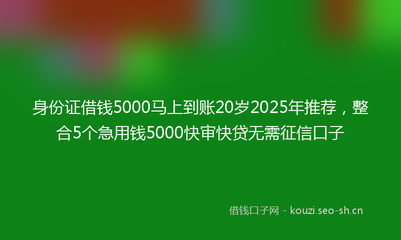 身份证借钱5000马上到账20岁2025年推荐，整合5个急用钱5000快审快贷无需征信口子
