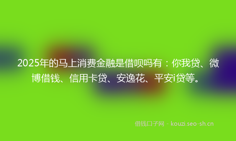 2025年的马上消费金融是借呗吗有：你我贷、微博借钱、信用卡贷、安逸花、平安i贷等。
