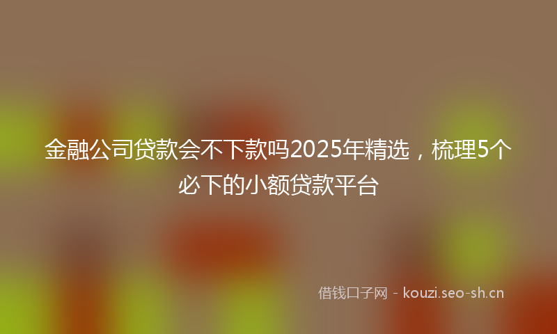 金融公司贷款会不下款吗2025年精选，梳理5个必下的小额贷款平台