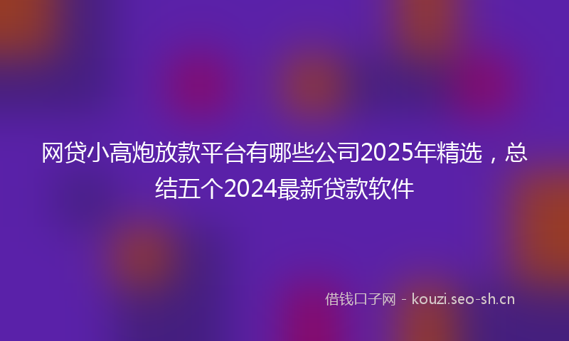 网贷小高炮放款平台有哪些公司2025年精选，总结五个2024最新贷款软件