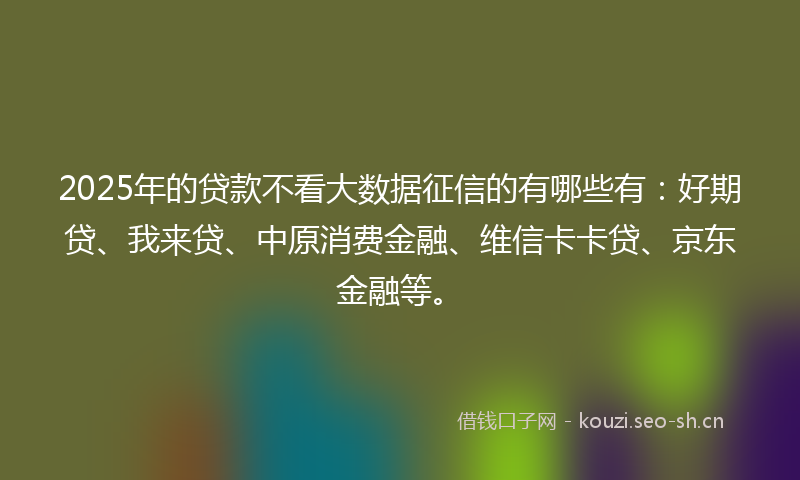 2025年的贷款不看大数据征信的有哪些有：好期贷、我来贷、中原消费金融、维信卡卡贷、京东金融等。