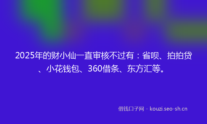 2025年的财小仙一直审核不过有：省呗、拍拍贷、小花钱包、360借条、东方汇等。
