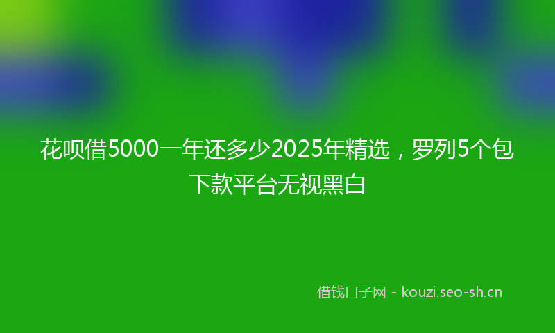 花呗借5000一年还多少2025年精选，罗列5个包下款平台无视黑白