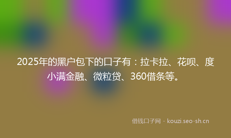 2025年的黑户包下的口子有：拉卡拉、花呗、度小满金融、微粒贷、360借条等。