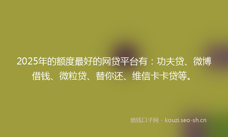 2025年的额度最好的网贷平台有：功夫贷、微博借钱、微粒贷、替你还、维信卡卡贷等。