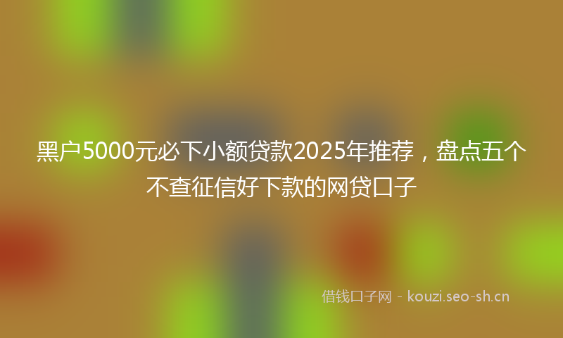 黑户5000元必下小额贷款2025年推荐，盘点五个不查征信好下款的网贷口子