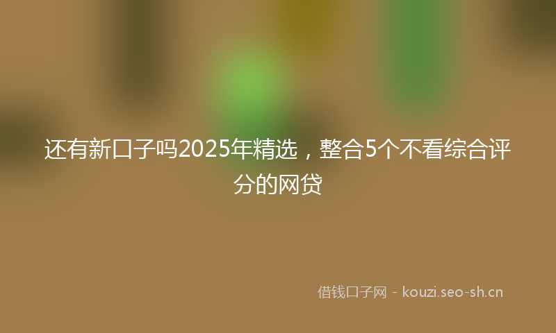 还有新口子吗2025年精选，整合5个不看综合评分的网贷