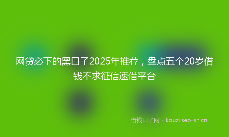 网贷必下的黑口子2025年推荐，盘点五个20岁借钱不求征信速借平台