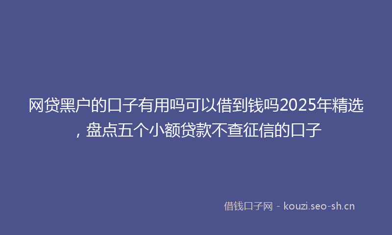 网贷黑户的口子有用吗可以借到钱吗2025年精选，盘点五个小额贷款不查征信的口子