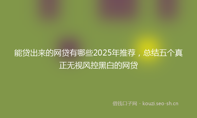 能贷出来的网贷有哪些2025年推荐，总结五个真正无视风控黑白的网贷
