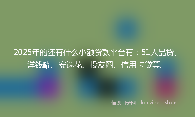 2025年的还有什么小额贷款平台有：51人品贷、洋钱罐、安逸花、投友圈、信用卡贷等。