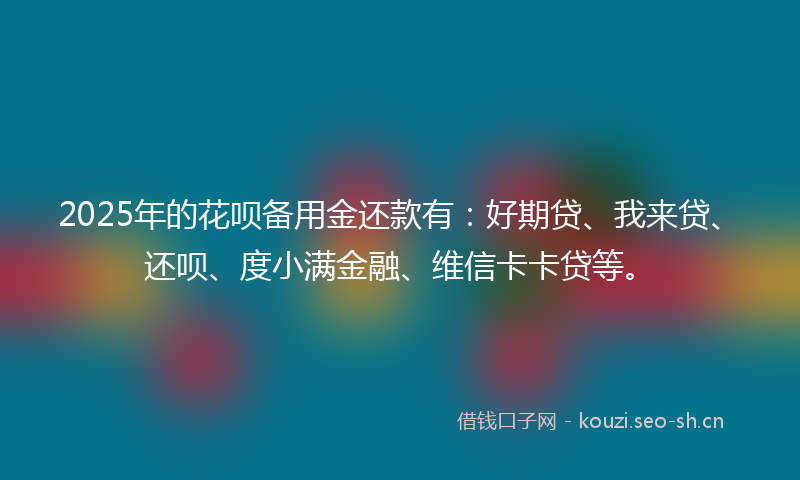 2025年的花呗备用金还款有：好期贷、我来贷、还呗、度小满金融、维信卡卡贷等。