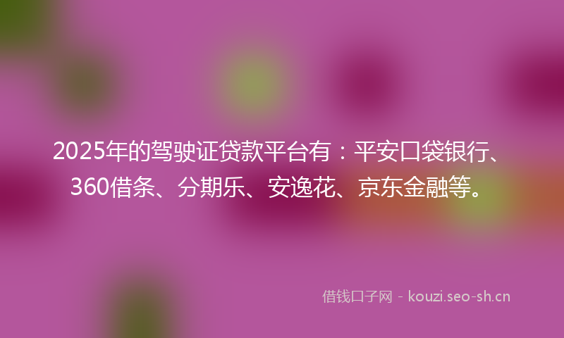 2025年的驾驶证贷款平台有：平安口袋银行、360借条、分期乐、安逸花、京东金融等。