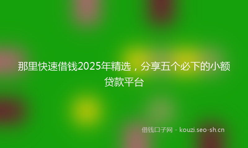 那里快速借钱2025年精选，分享五个必下的小额贷款平台