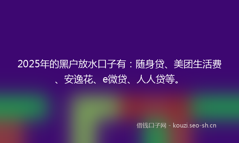 2025年的黑户放水口子有：随身贷、美团生活费、安逸花、e微贷、人人贷等。