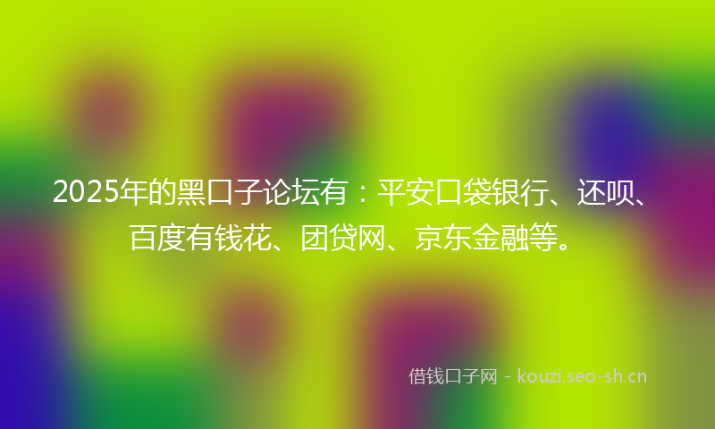 2025年的黑口子论坛有：平安口袋银行、还呗、百度有钱花、团贷网、京东金融等。