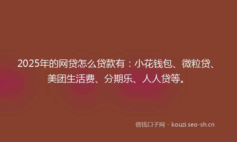 2025年的网贷怎么贷款有：小花钱包、微粒贷、美团生活费、分期乐、人人贷等。