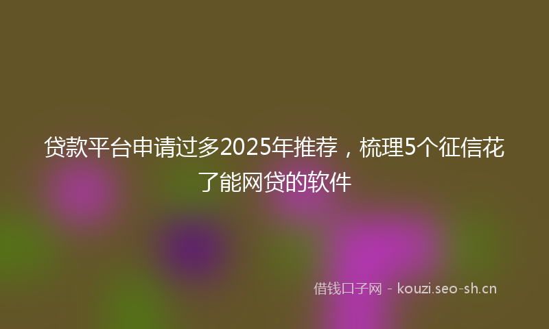 贷款平台申请过多2025年推荐，梳理5个征信花了能网贷的软件