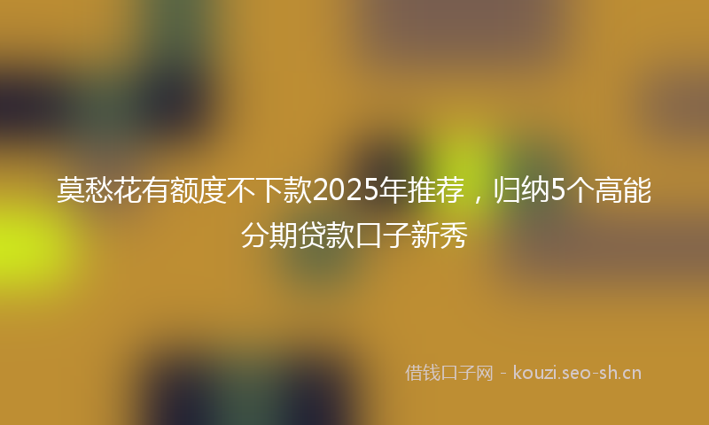 莫愁花有额度不下款2025年推荐，归纳5个高能分期贷款口子新秀