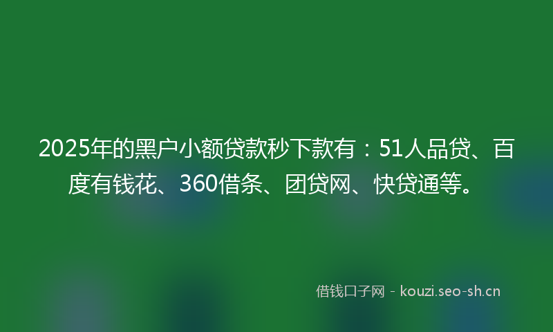 2025年的黑户小额贷款秒下款有：51人品贷、百度有钱花、360借条、团贷网、快贷通等。