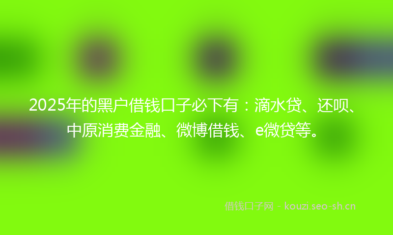 2025年的黑户借钱口子必下有：滴水贷、还呗、中原消费金融、微博借钱、e微贷等。