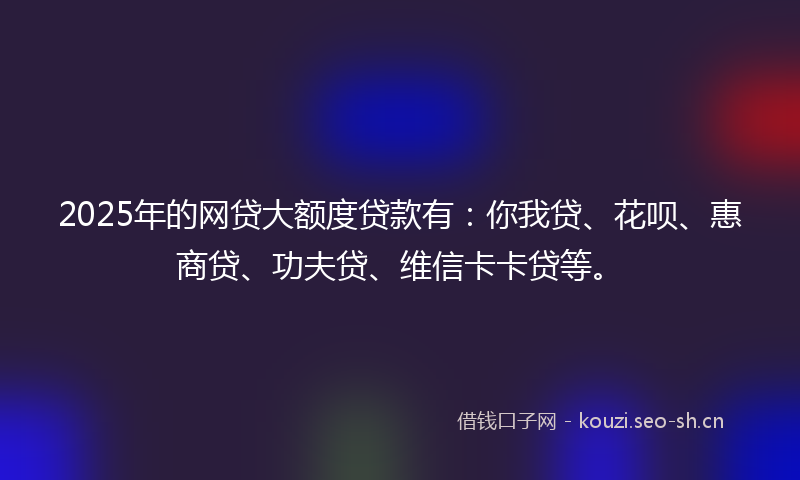 2025年的网贷大额度贷款有：你我贷、花呗、惠商贷、功夫贷、维信卡卡贷等。