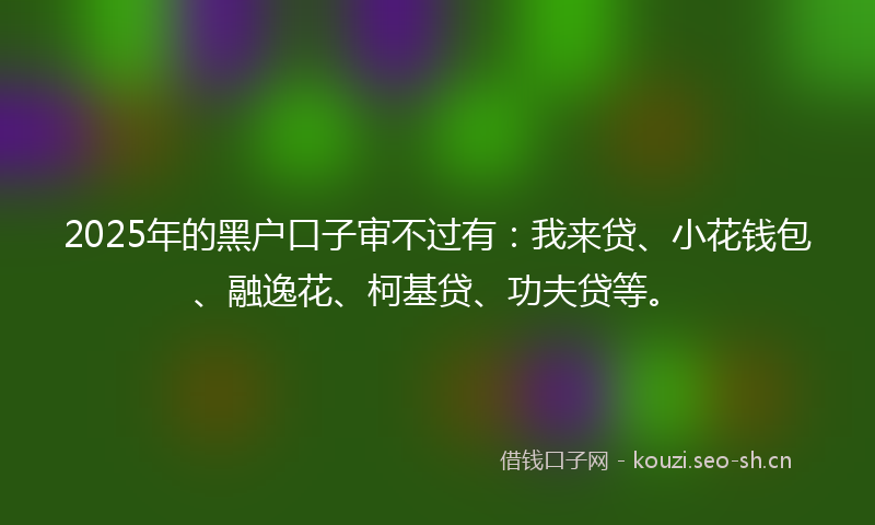 2025年的黑户口子审不过有：我来贷、小花钱包、融逸花、柯基贷、功夫贷等。