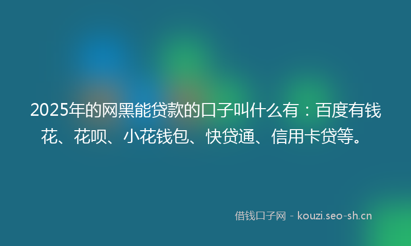 2025年的网黑能贷款的口子叫什么有：百度有钱花、花呗、小花钱包、快贷通、信用卡贷等。
