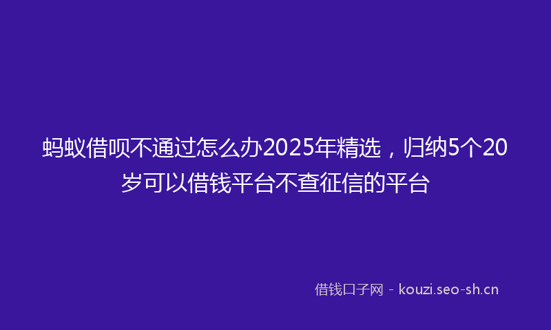 蚂蚁借呗不通过怎么办2025年精选，归纳5个20岁可以借钱平台不查征信的平台