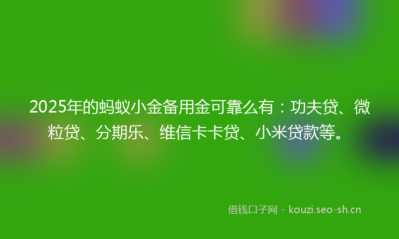 2025年的蚂蚁小金备用金可靠么有：功夫贷、微粒贷、分期乐、维信卡卡贷、小米贷款等。