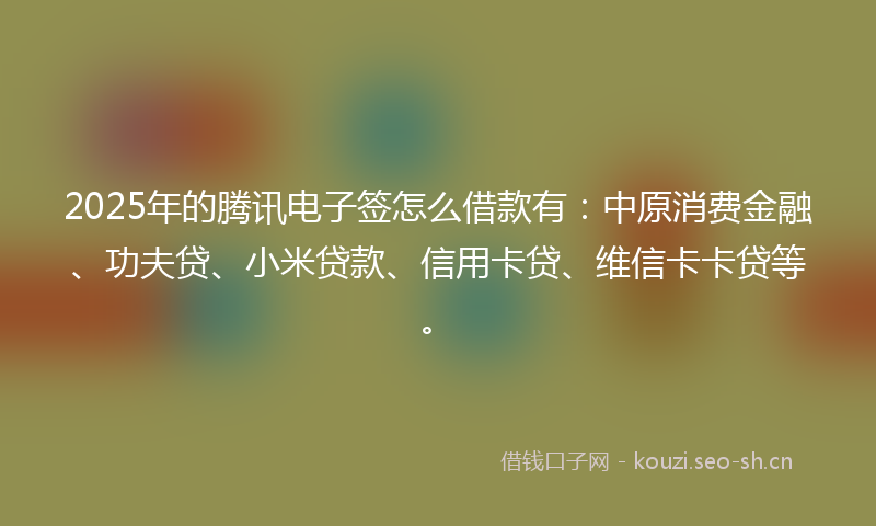2025年的腾讯电子签怎么借款有：中原消费金融、功夫贷、小米贷款、信用卡贷、维信卡卡贷等。