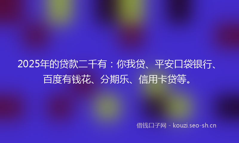 2025年的贷款二千有:你我贷、平安口袋银行、百度有钱花、分期乐、信用卡贷等。