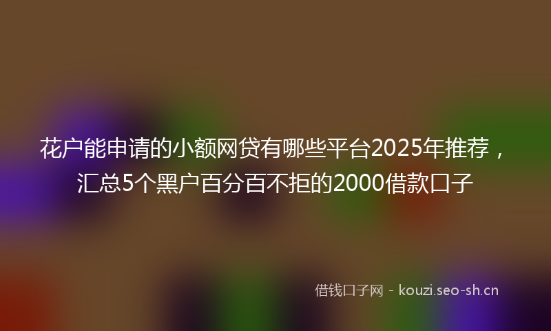 花户能申请的小额网贷有哪些平台2025年推荐，汇总5个黑户百分百不拒的2000借款口子