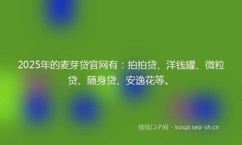 2025年的麦芽贷官网有：拍拍贷、洋钱罐、微粒贷、随身贷、安逸花等。