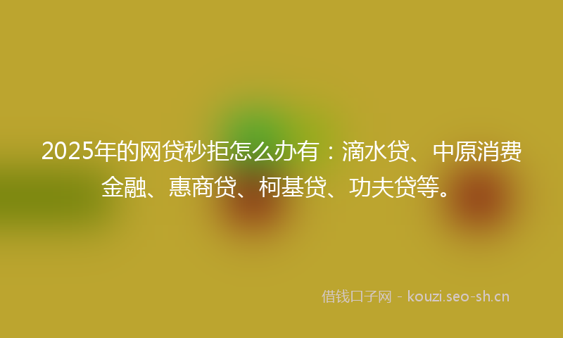 2025年的网贷秒拒怎么办有：滴水贷、中原消费金融、惠商贷、柯基贷、功夫贷等。