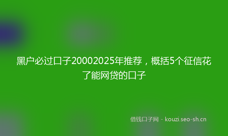 黑户必过口子20002025年推荐，概括5个征信花了能网贷的口子