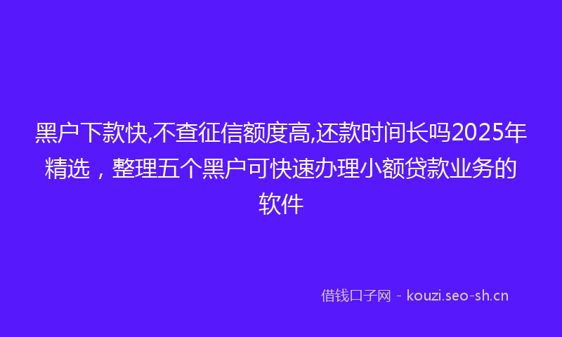 黑户下款快,不查征信额度高,还款时间长吗2025年精选，整理五个黑户可快速办理小额贷款业务的软件