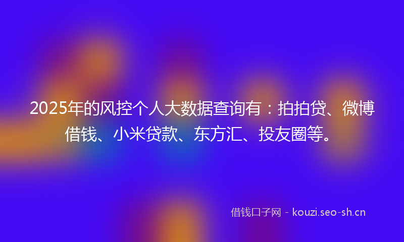 2025年的风控个人大数据查询有：拍拍贷、微博借钱、小米贷款、东方汇、投友圈等。