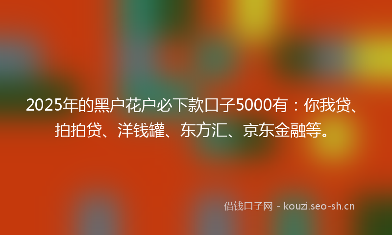 2025年的黑户花户必下款口子5000有：你我贷、拍拍贷、洋钱罐、东方汇、京东金融等。