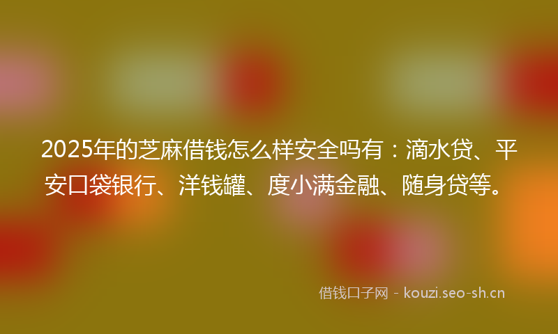 2025年的芝麻借钱怎么样安全吗有：滴水贷、平安口袋银行、洋钱罐、度小满金融、随身贷等。