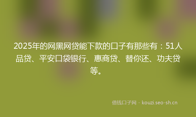 2025年的网黑网贷能下款的口子有那些有：51人品贷、平安口袋银行、惠商贷、替你还、功夫贷等。