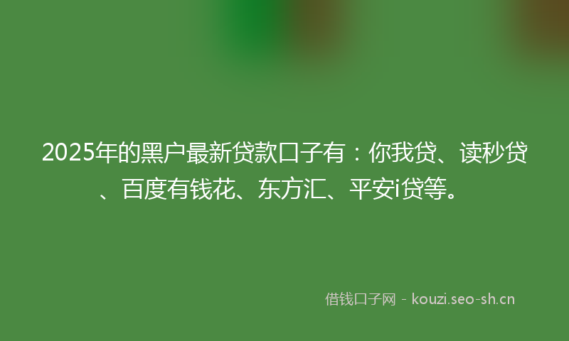 2025年的黑户最新贷款口子有：你我贷、读秒贷、百度有钱花、东方汇、平安i贷等。