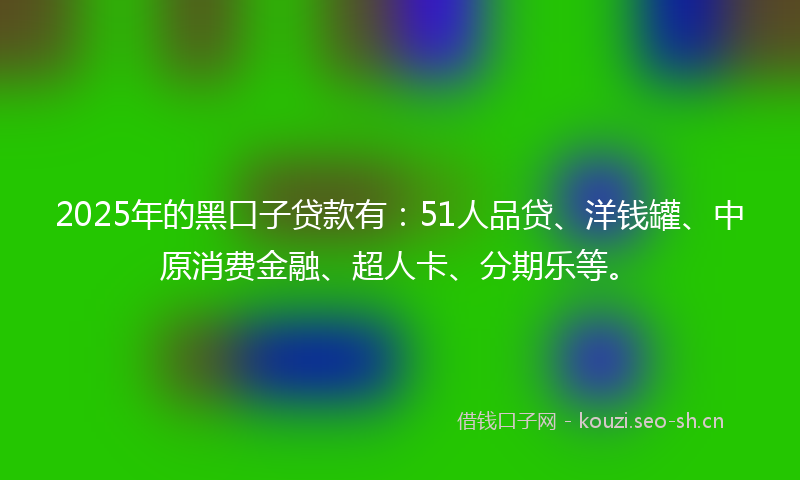 2025年的黑口子贷款有：51人品贷、洋钱罐、中原消费金融、超人卡、分期乐等。